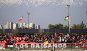 Mejores picks para Universidad Católica vs Palestino, mata-mata en la Sudamericana