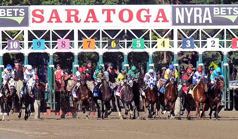 Caballos parten de la salida en Saratoga Race Course