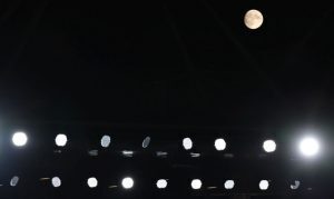 Apuestas, Cuotas Y Tips Para El Colo Colo Vs Audax Italiano